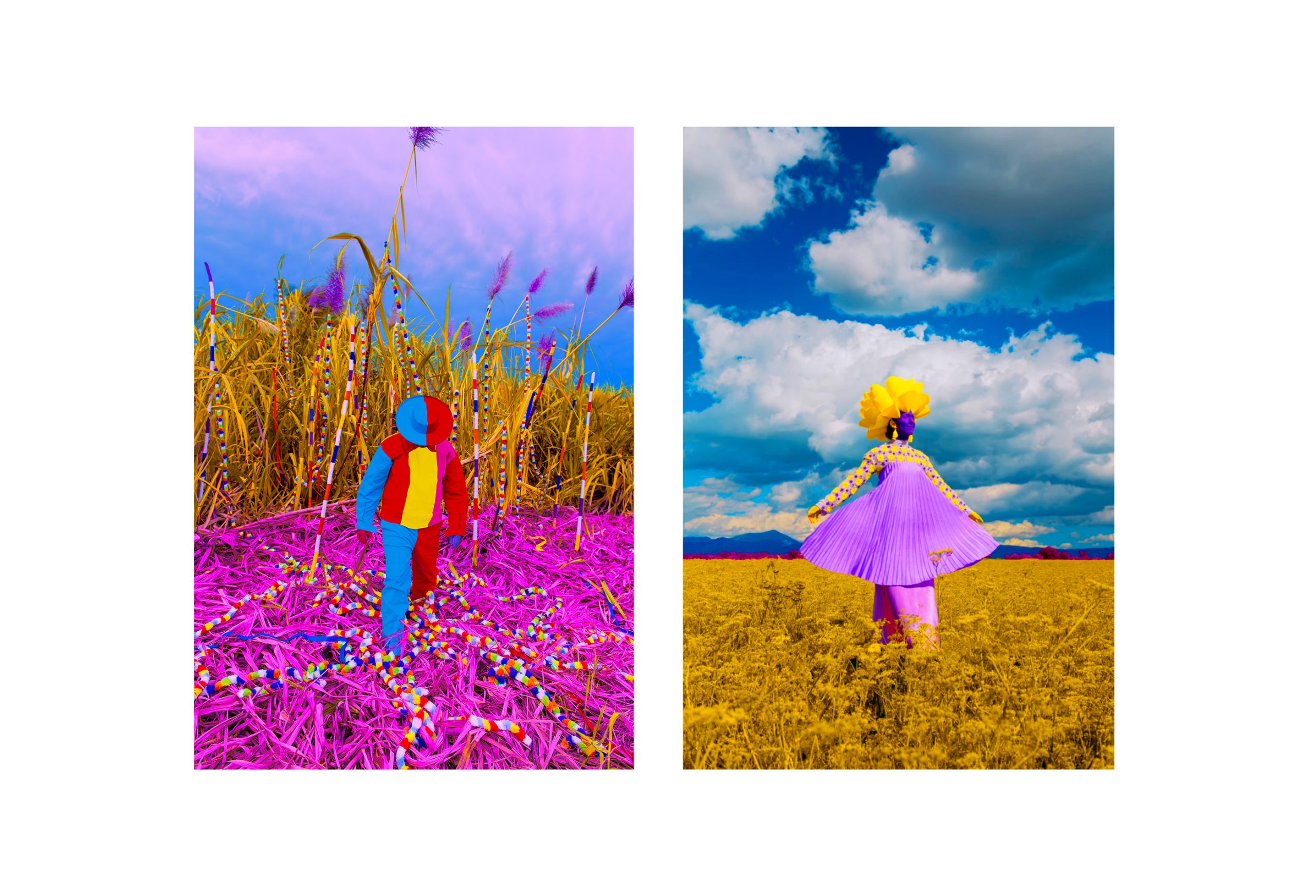 Pernod-photo-sanja-marusic