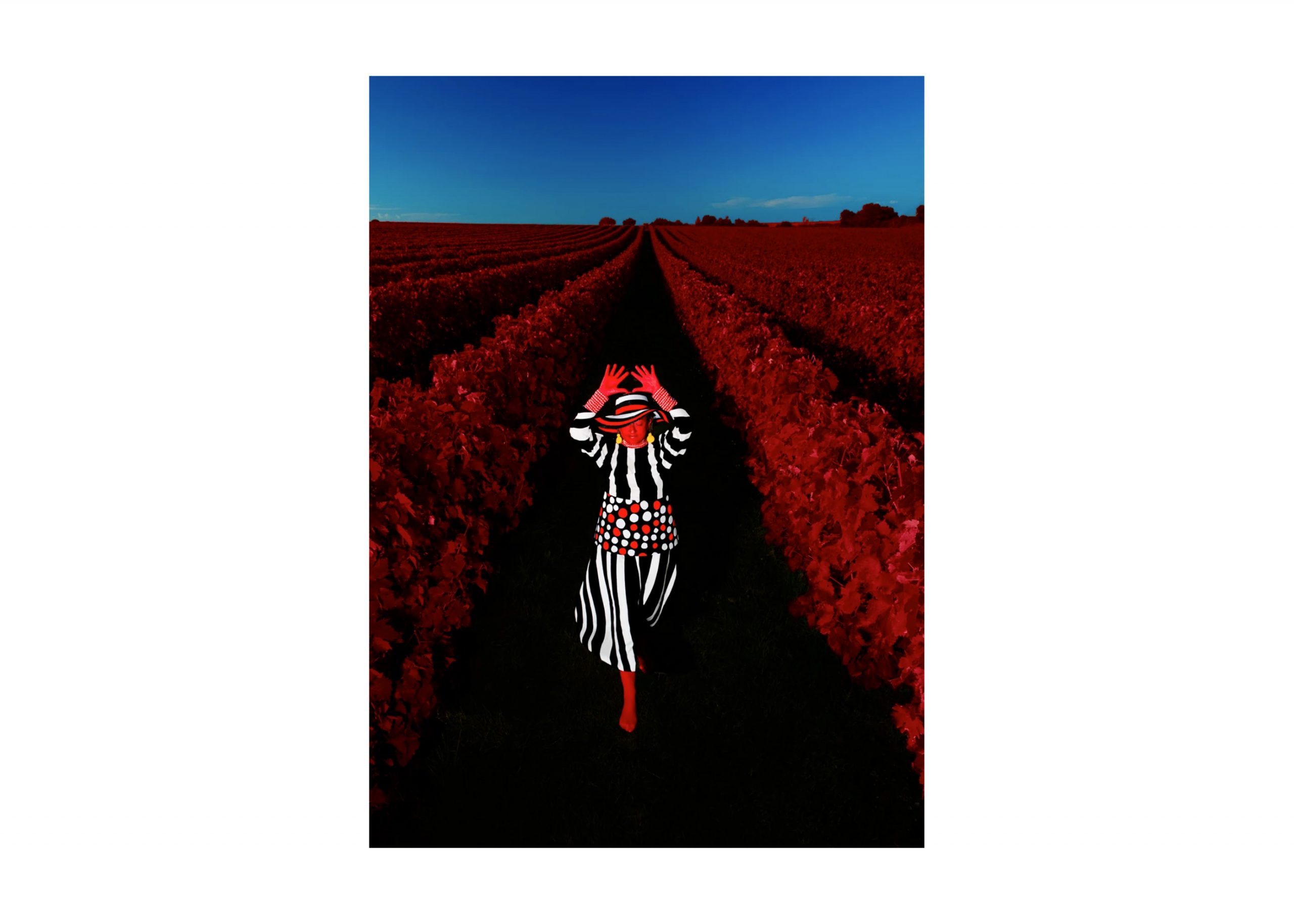 photo-sanja-marusic-photo