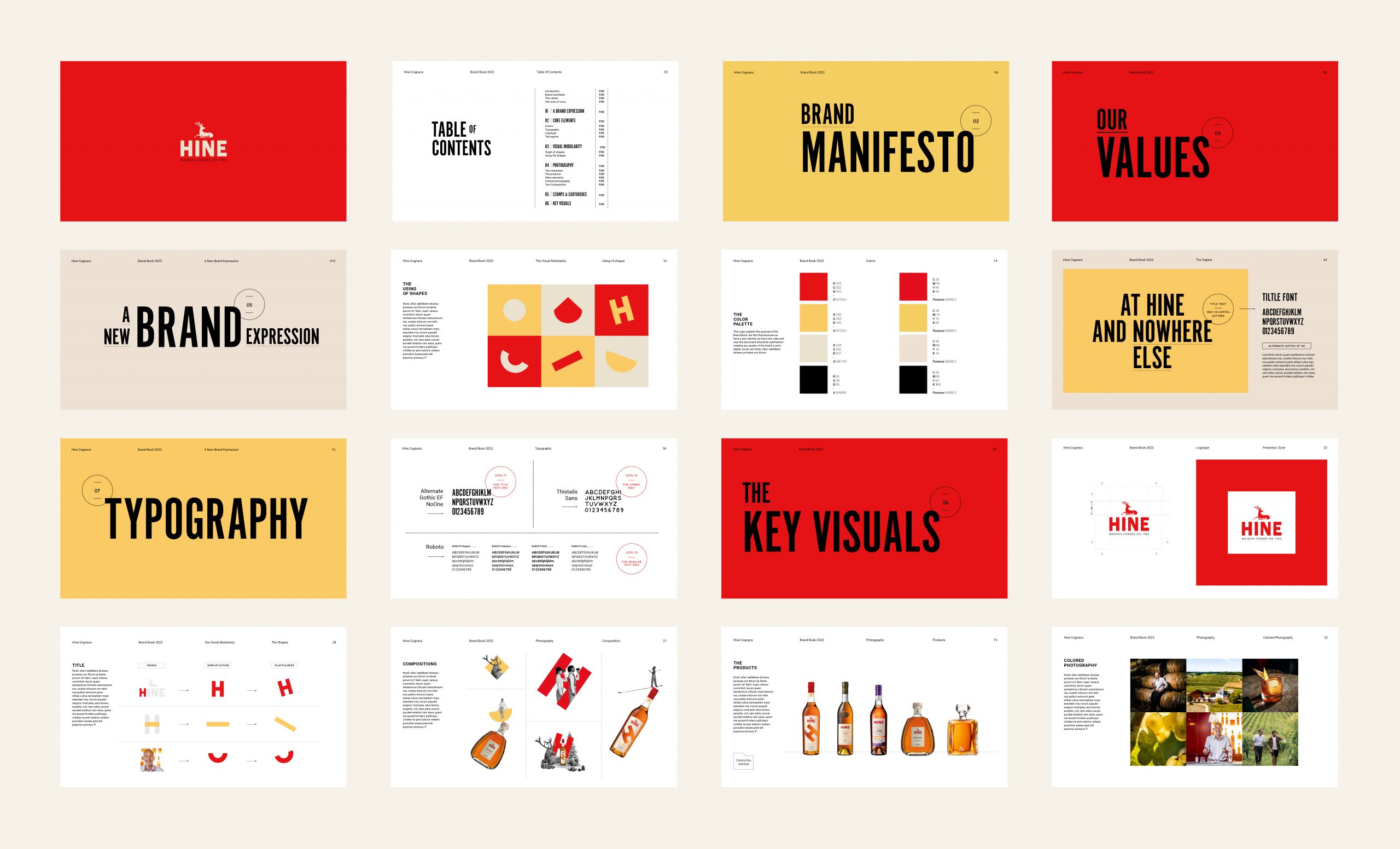 stereographic-hine-charte