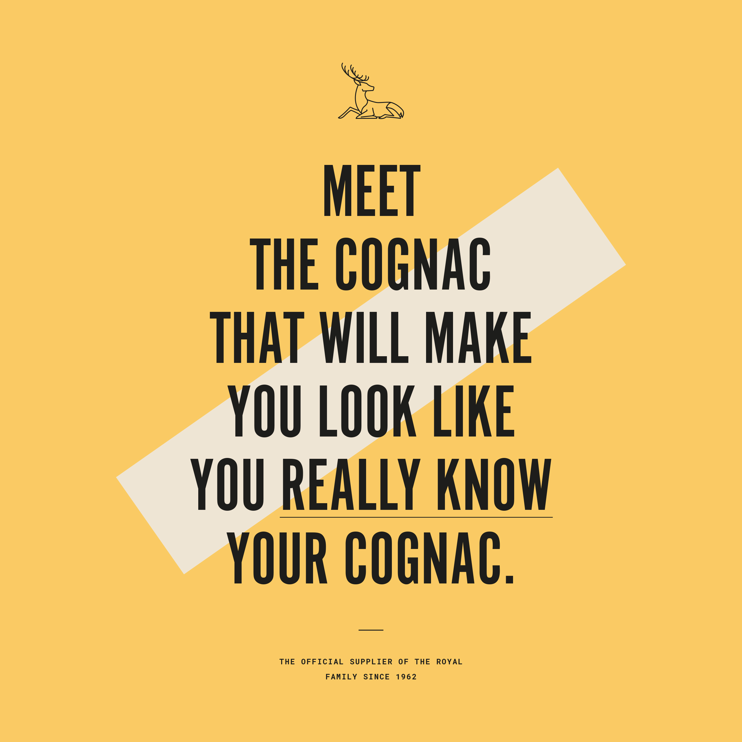 stereographic-hine-poster3-scaled copie